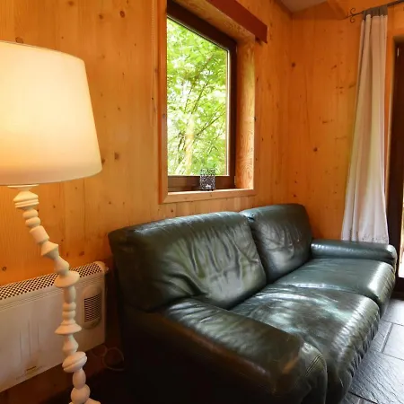 Holiday home Comfortable Modern With Wood Finish Aywaille