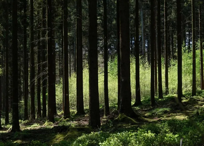 Holiday Home In Aywaille For 6 Person